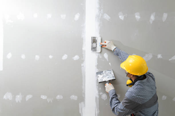 Trusted St Petersburg, FL Drywall & Painting Services Experts